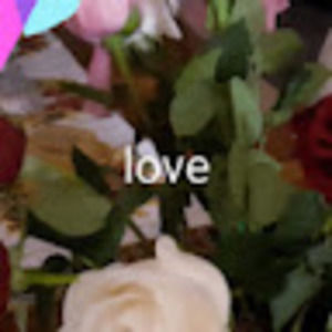 Meet your Posher, Diana